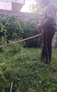 علف زنی،قطع درختان،خدمات باغبانی،سمپاشی،محوطه سازی