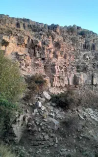 حفار حرفه ای
