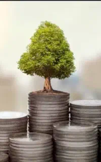 نیازمند سرمایه گذار