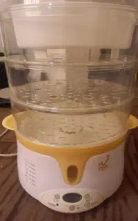 بخار پز