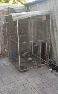 قفس فنسی بزرگ برای پرنده سهره. کفتر و طوطی