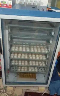 دستگاه جوجه کشی بلدرچین دماوند 588