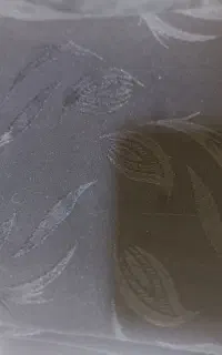 چادر مجلسی