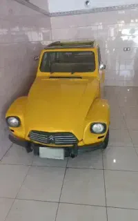 زیان پلاک قدیم