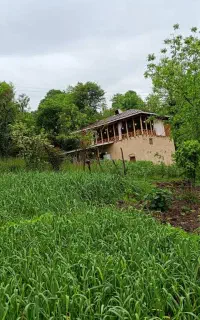 سریداری باغ و وخانه