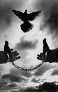 ترک اعتیاد بدون بازگشت