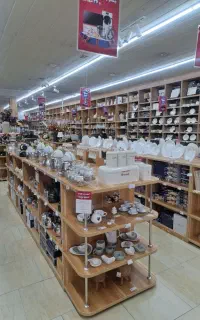 کارشناس برنامه ریزی