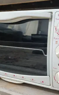 تستر به همراه جوجه گردان سانی