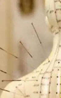 استخدام منشی