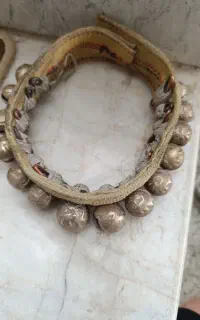 قرچه 14عدد،نشان شیر
