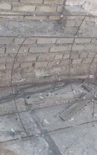 پرنده