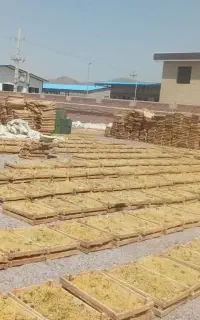 به چند نفر آدم زرنگ نیازمندیم