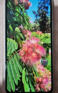 فروش گوشی سامسونگ