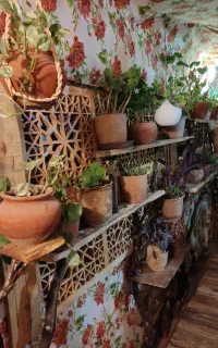 تولید قفسه های سنتی و طبیعی