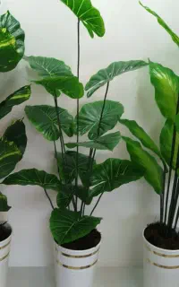 گل مصنوعی درختچه