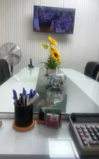 حسابدار. خانم