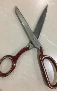 قیچی سینگر متوسط