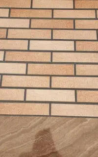 نیروی کار خانم صبح تا ظهر نیازمندیم