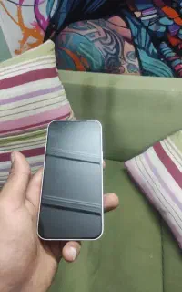 13 نرمال