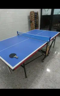 میز پینگ پنگ المپیک نعوپان