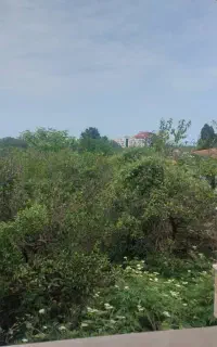 همکاری در کافه