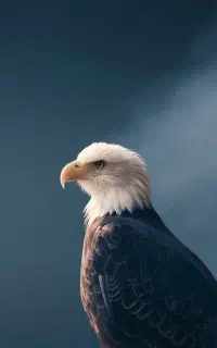 ثبت نام سامانه مودیان و ارزش افزوده،مشاوره رایگان