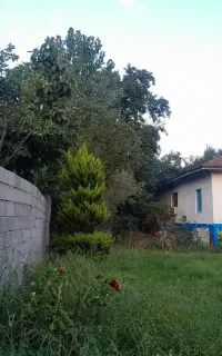 ویلا اجاره ای روستایی