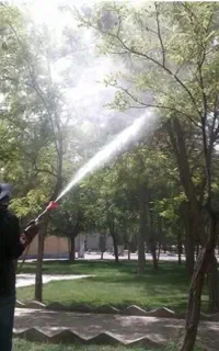 سمپاشی،باغها،ویلاها،ودرختان