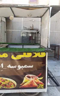 گاری فلافلی