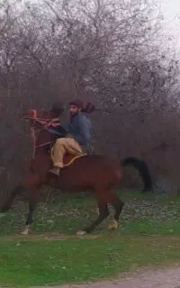سلام