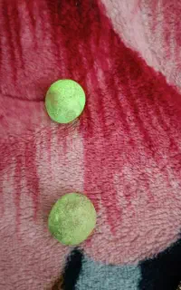 سنگ گوهر شب چراغ