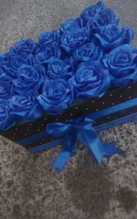 گل های جاودانه سوپرایزی