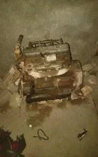 متور بچه لنج ترموکینگ
