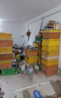 فروش کندوی زنبور عسل