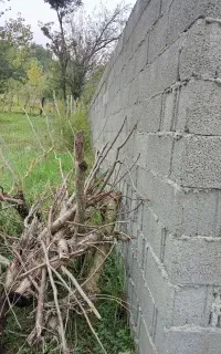 بنایی دیوارچینی