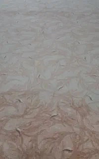 پالاز موکت در حدنو