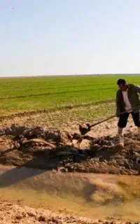 کارگر اتباع