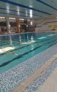 آموزش اصولی شنا در ده جلسه