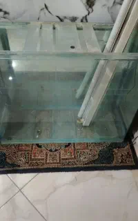 آکواریوم سالم