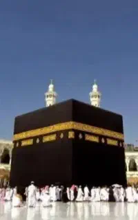 فیش حج