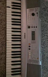 ارگ یاماها E313