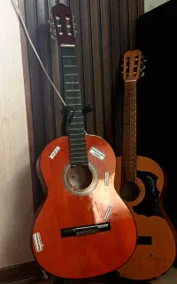 دو عدد گیتار
