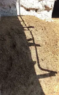 کود گاوی بار گاوی درجه یک