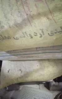 کود کفتر