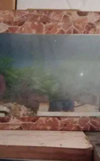 آکواریوم با پمپ هوا