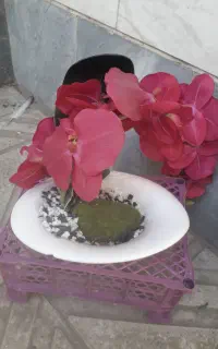 گل و گلدان مصنوعی