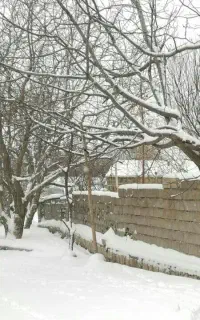 فروش باغ روستای طولاب