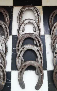 نعل اسب