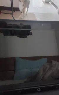 لب تاب نو