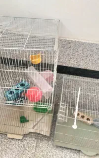 قفس بزرگ قناری